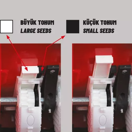 Küçük Ve Büyük Tohum